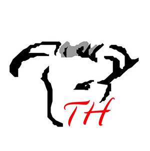 Công ty CP Tong Hong Tannery Việt Nam